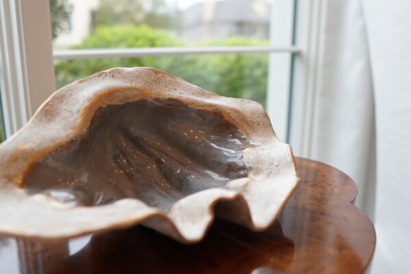 Clam Bowl Small (Decorative) - Image 6